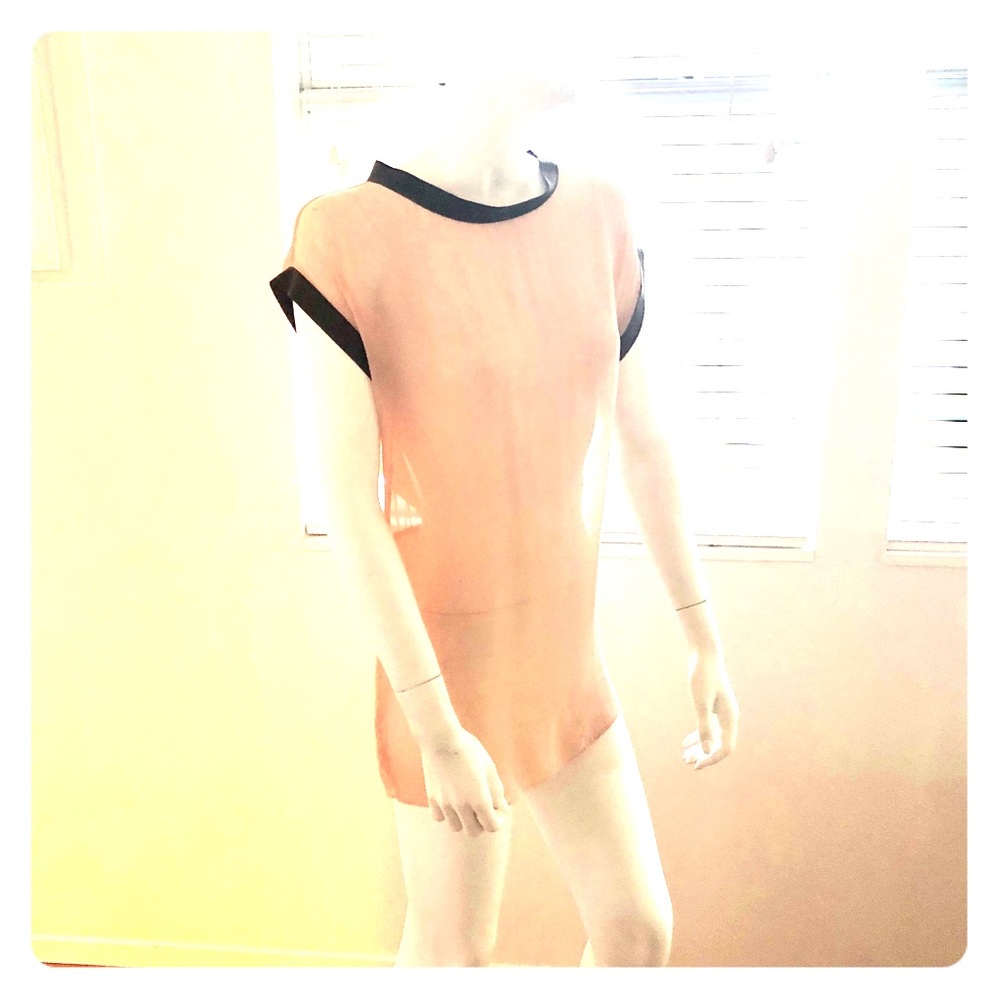Clu silk sheer pale pink blouse S